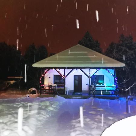 Limpedea Green House Baia Mare Eksteriør billede