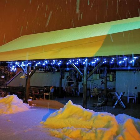 Limpedea Green House Baia Mare Eksteriør billede