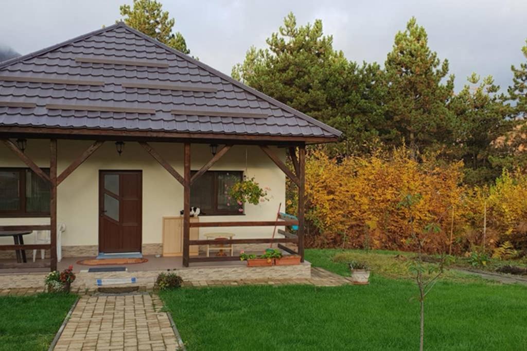 Limpedea Green House Baia Mare Eksteriør billede