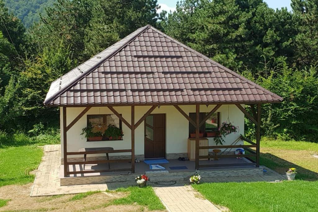 Limpedea Green House Baia Mare Eksteriør billede