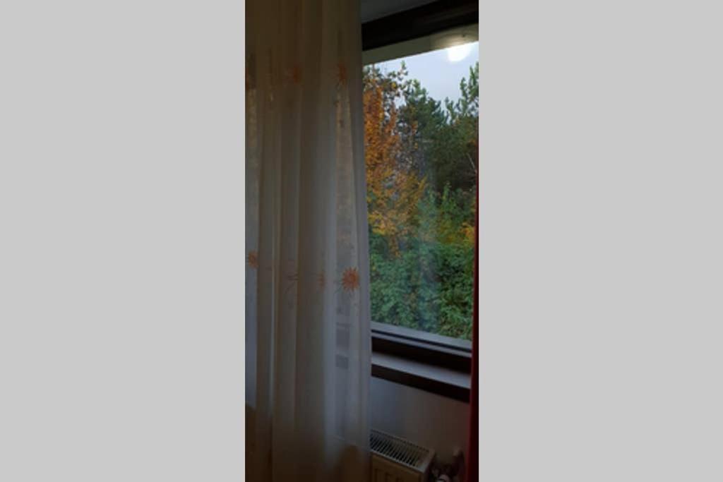 Limpedea Green House Baia Mare Eksteriør billede