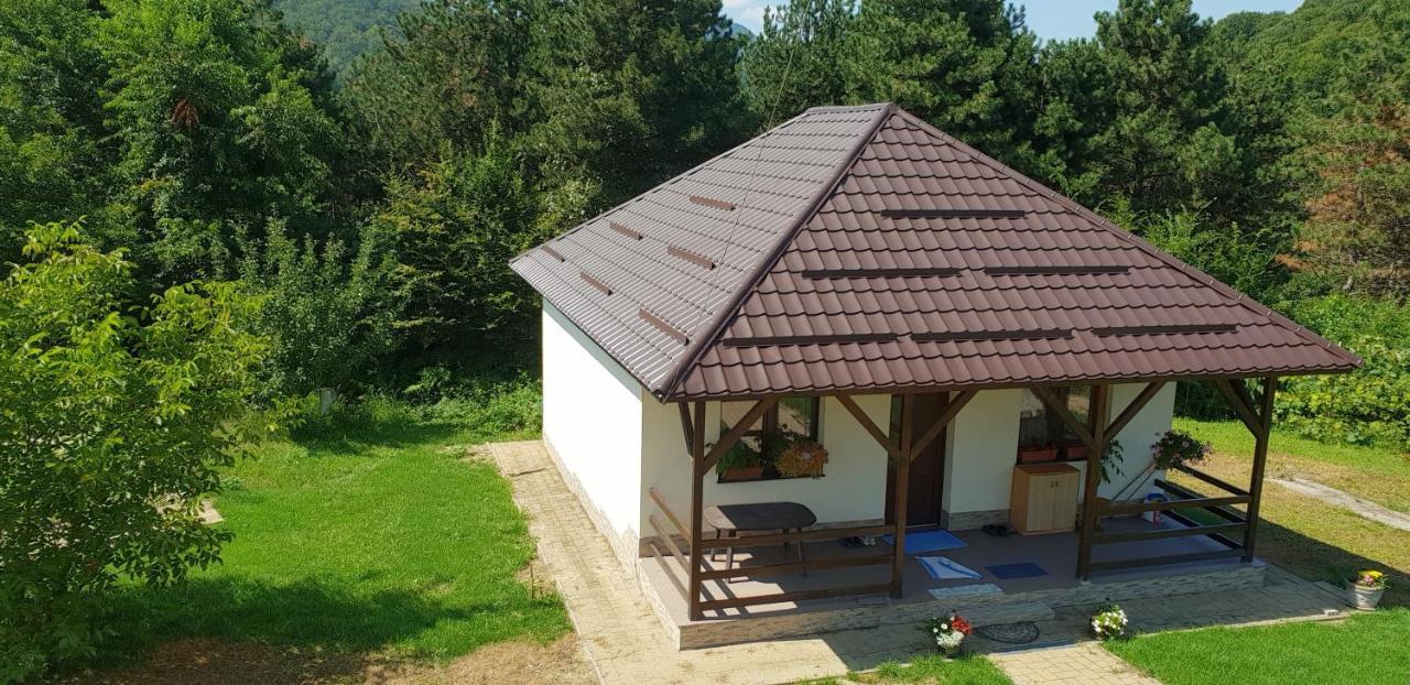 Limpedea Green House Baia Mare Eksteriør billede