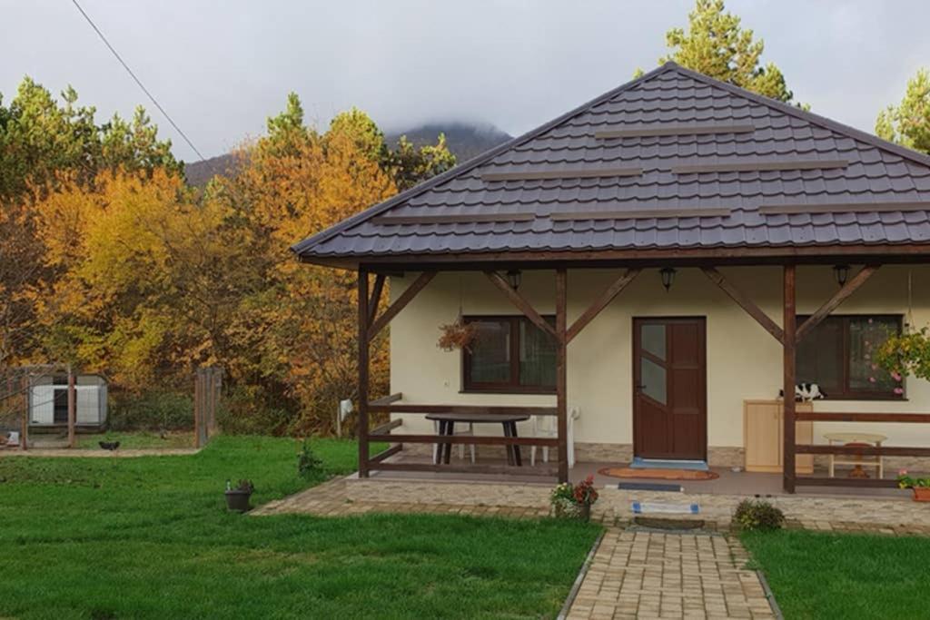 Limpedea Green House Baia Mare Eksteriør billede