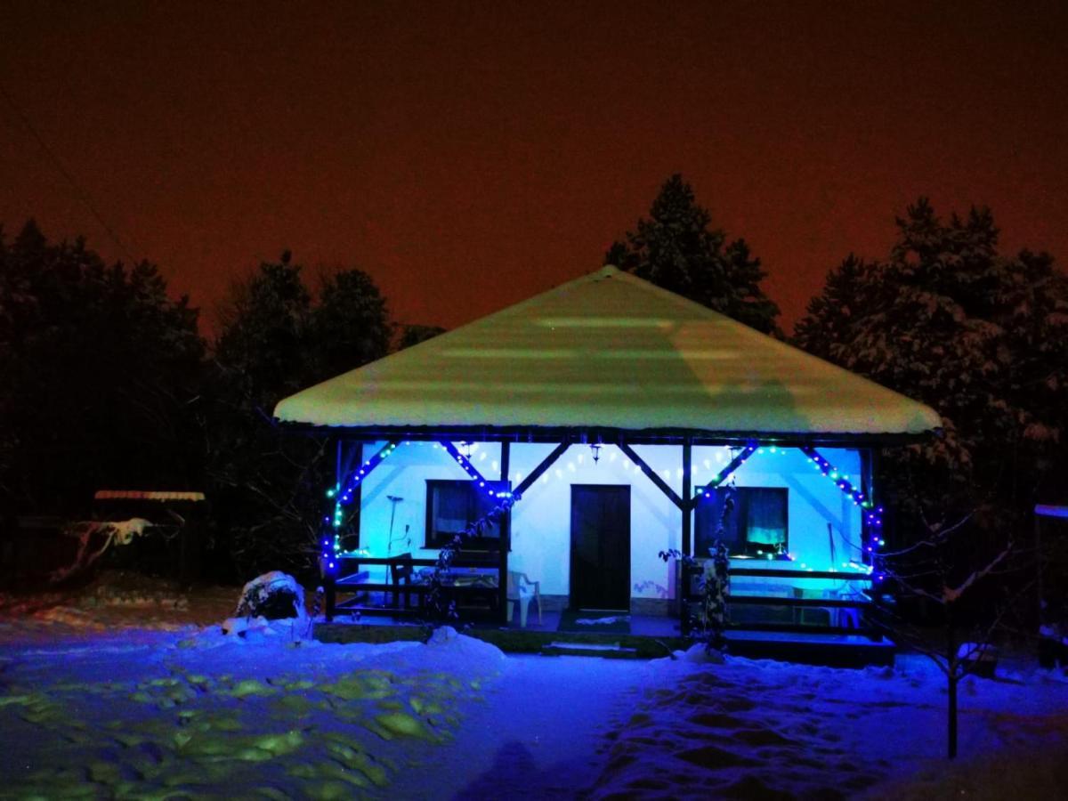 Limpedea Green House Baia Mare Eksteriør billede