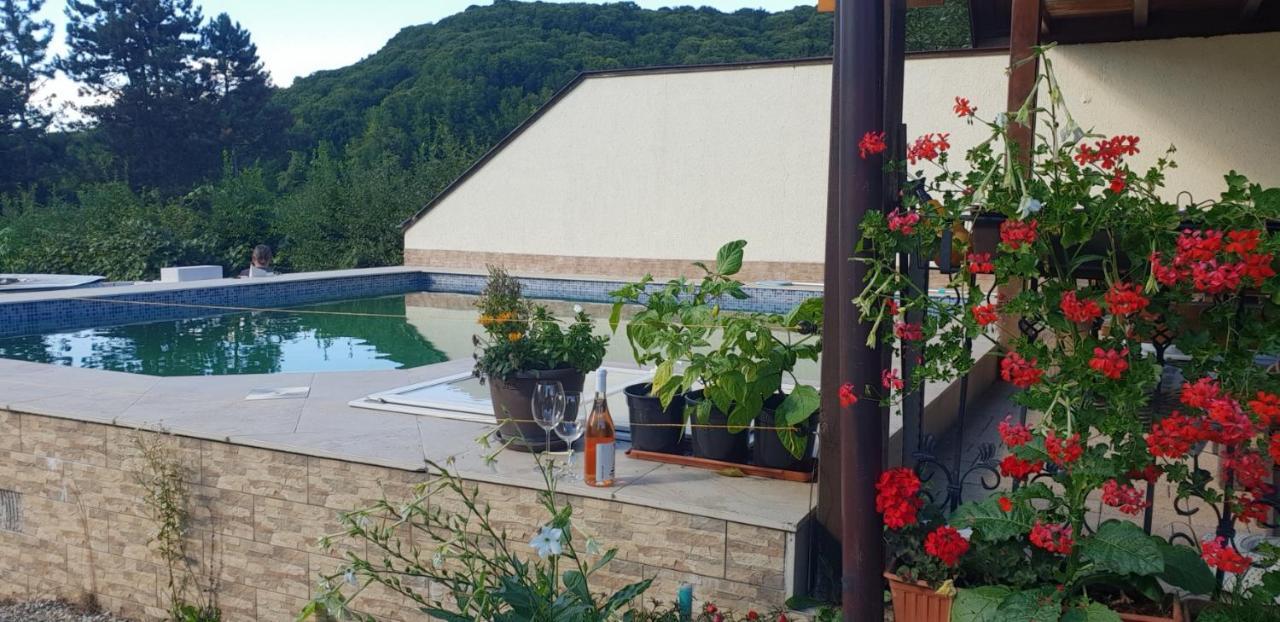 Limpedea Green House Baia Mare Eksteriør billede